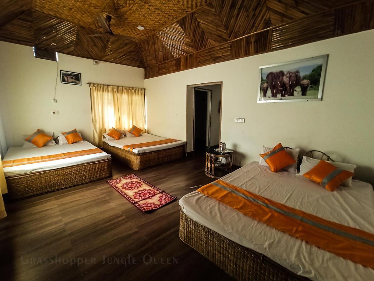 Grasshopper Jungle Queen Resort Chalsa Luaran gambar