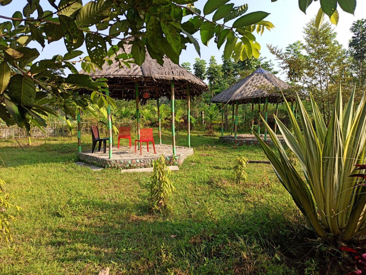 Grasshopper Jungle Queen Resort Chalsa Luaran gambar