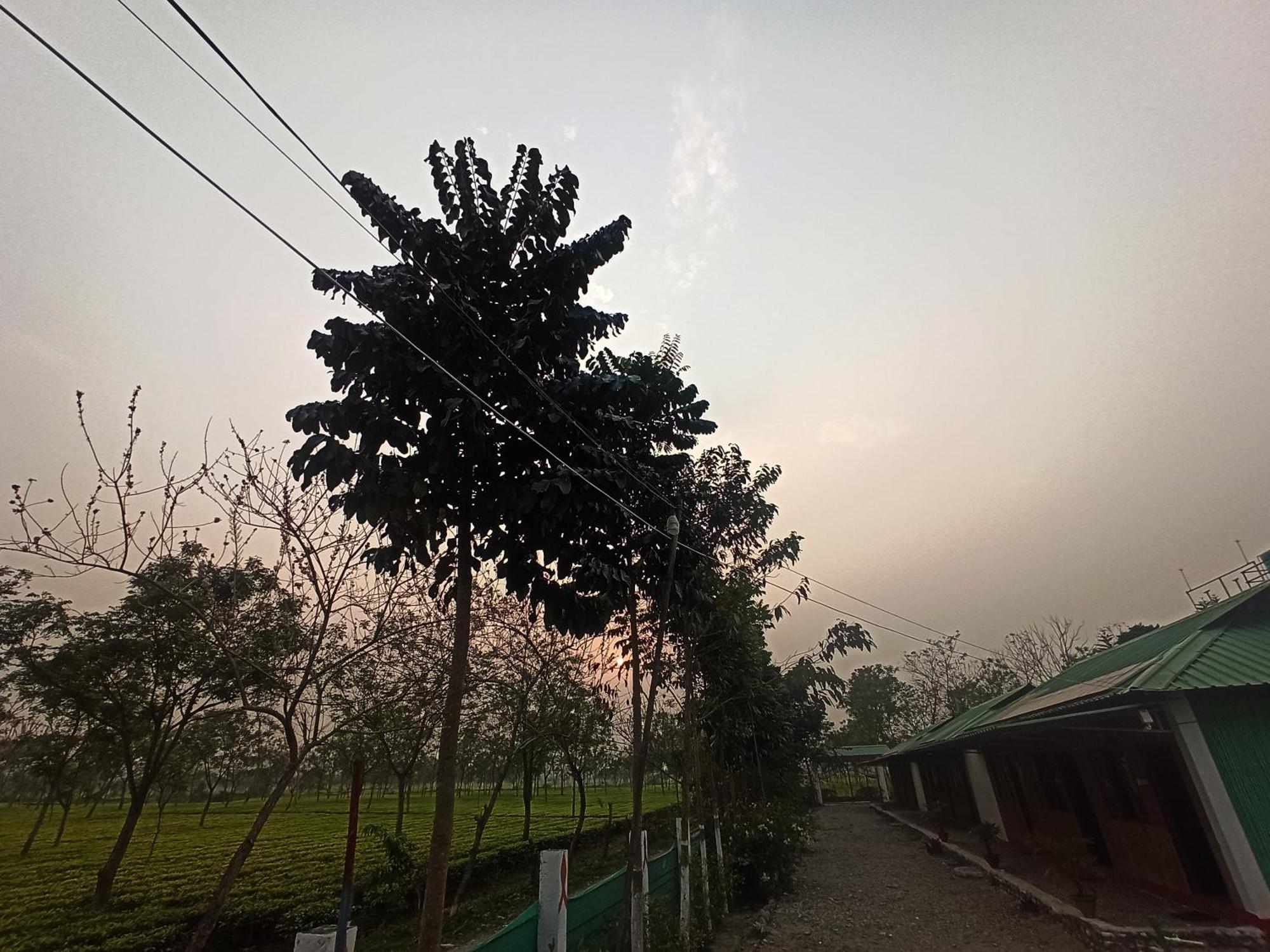 Grasshopper Jungle Queen Resort Chalsa Luaran gambar