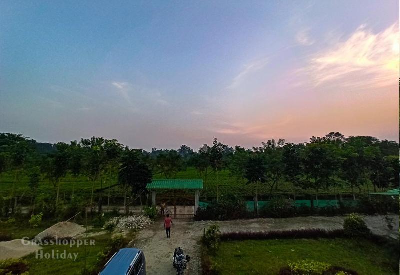 Grasshopper Jungle Queen Resort Chalsa Luaran gambar