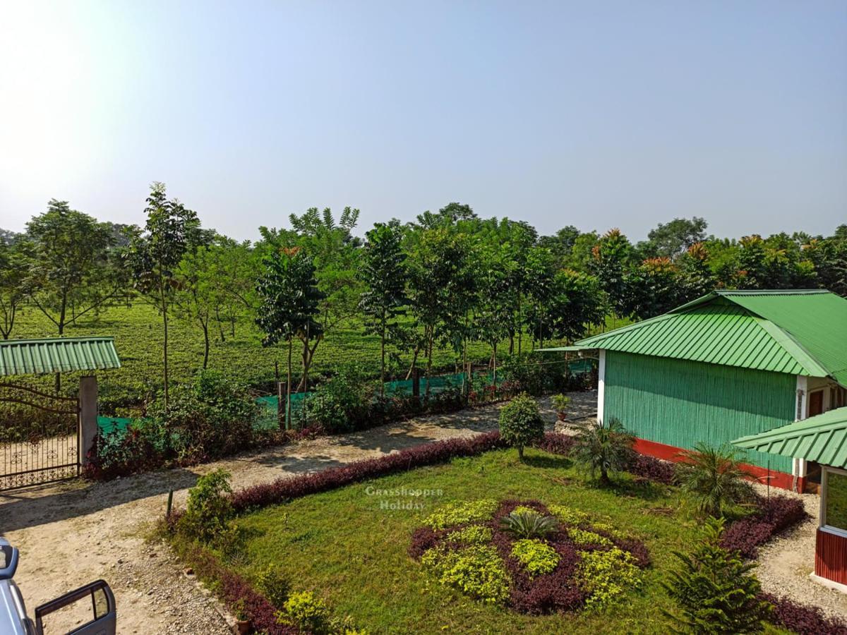 Grasshopper Jungle Queen Resort Chalsa Luaran gambar